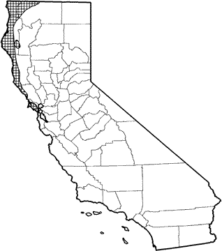 Fog Shrew Range Map