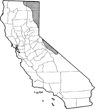 Merriam's Shrew Range Map