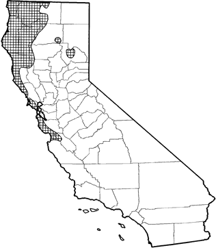Shrew-mole Range Map