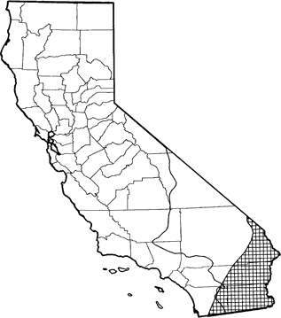 California Leaf-nosed Bat Range Map