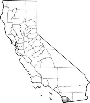 Mexican Long-tongued Bat Range Map