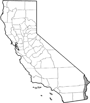 Cave Myotis Range Map