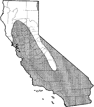Western Pipistrelle Range Map