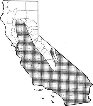 Audubon's Cottontail Range Map