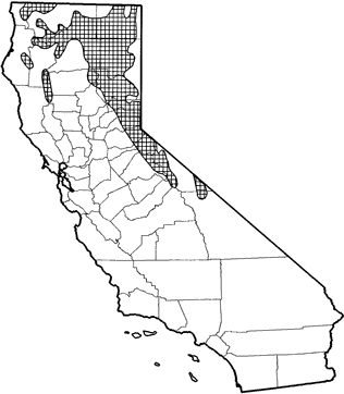 Yellow-pine Chipmunk Range Map