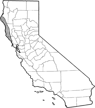 Yellow-cheeked Chipmunk Range Map