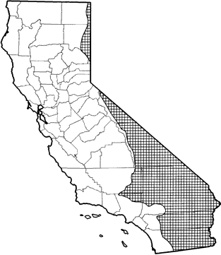 White-tailed Antelope Squirrel Range Map