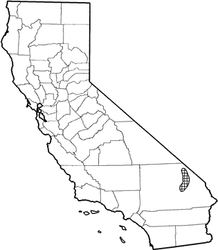 Rock Squirrel Range Map