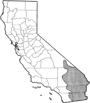 Round-tailed Ground Squirrel Range Map