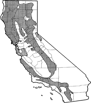 Western Gray Squirrel Range Map