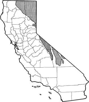 Great Basin Pocket Mouse Range Map