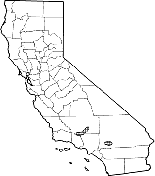 White-eared Pocket Mouse Range Map