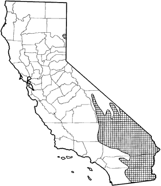 Desert Kangaroo Rat Range Map