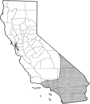 Cactus Mouse Range Map