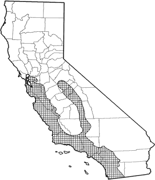 California Mouse  Range Map