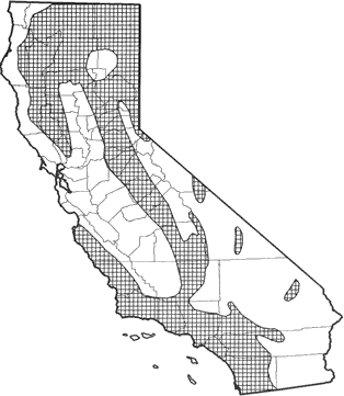 Brush Mouse Range Map