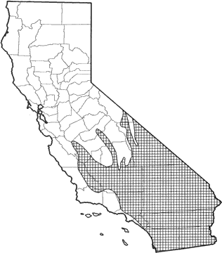 Southern Grasshopper Mouse Range Map