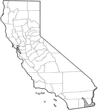 Hispid Cotton Rat Range Map