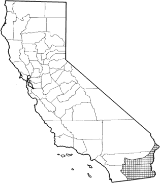 White-throated Woodrat Range Map