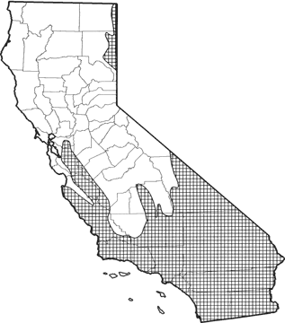 Desert Woodrat Range Map