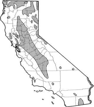 Common Muskrat Range Map