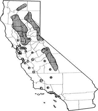 Red Fox Range Map