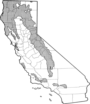 Black Bear Range Map