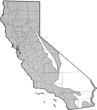 Striped Skunk Range Map