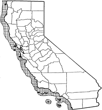 Northern Elephant Seal Range Map