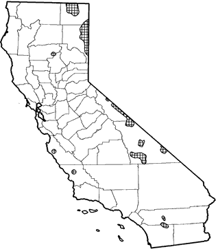 Feral Horse Range Map