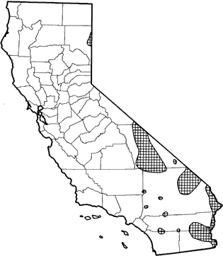 Feral Burro Range Map