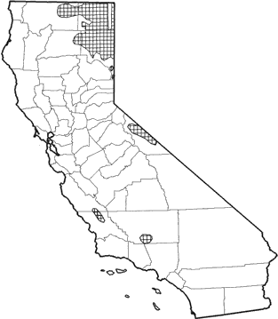 Pronghorn Range Map